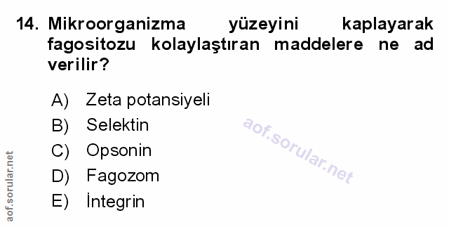 Soru 14
