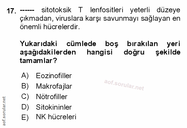 Soru 17