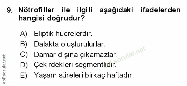 Soru 9