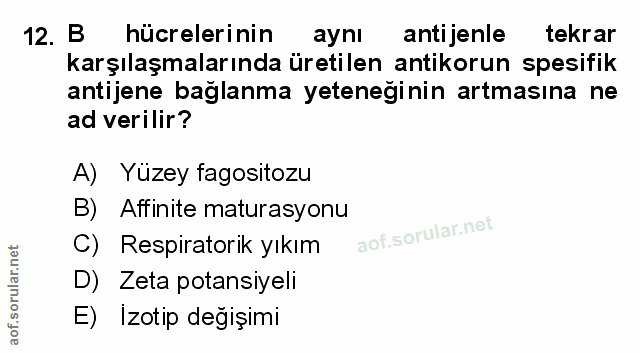 Soru 12