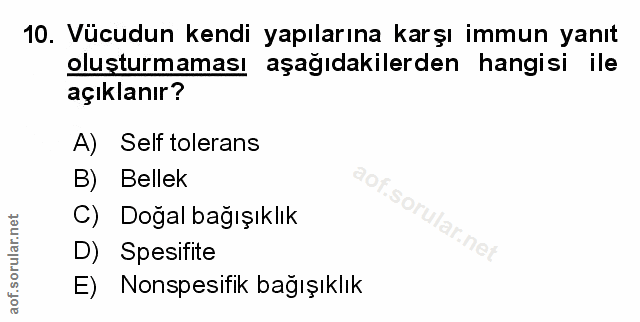 Soru 10