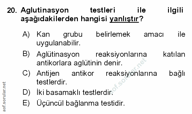 Soru 20