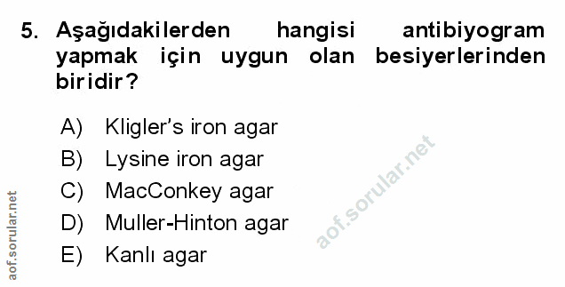 Soru 5