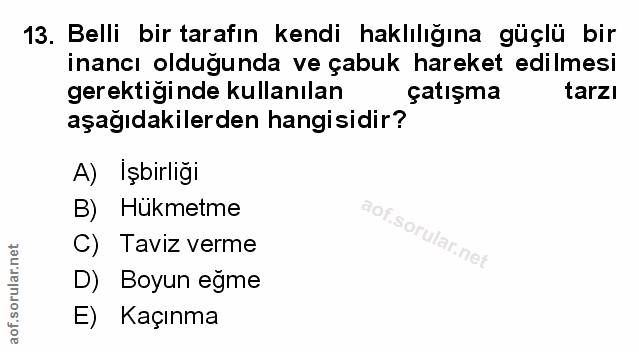 Soru 13