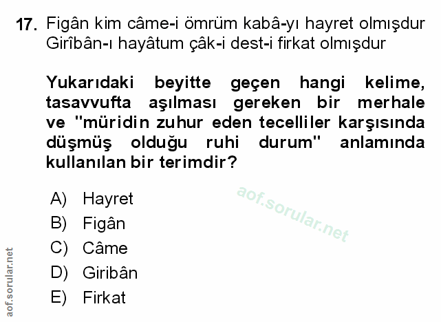 Soru 17