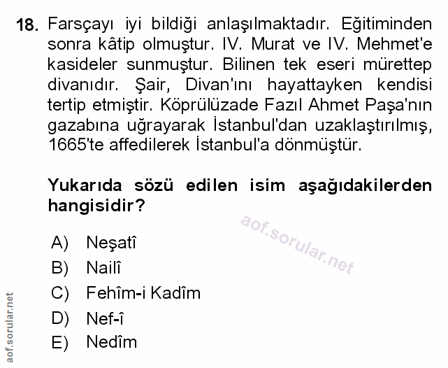 Soru 18