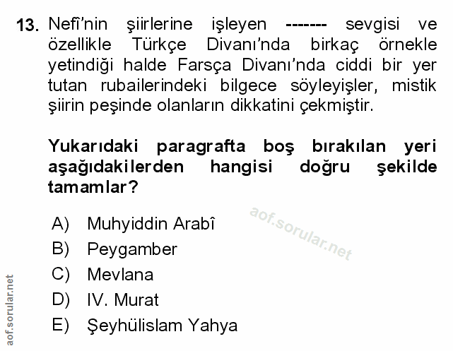 Soru 13