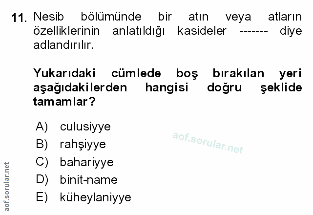 Soru 11