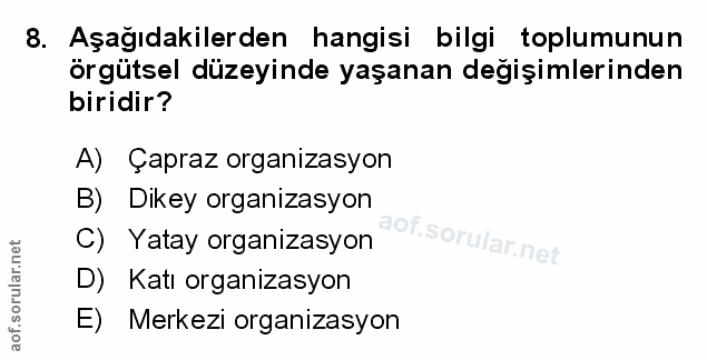 Soru 8