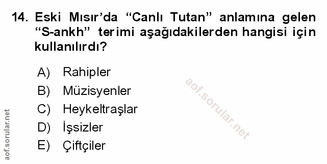 Soru 14