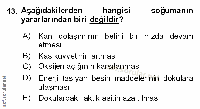 Soru 13