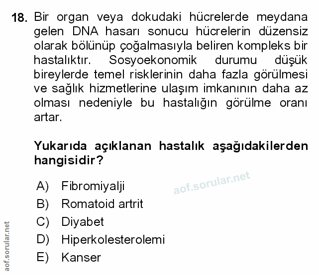 Soru 18