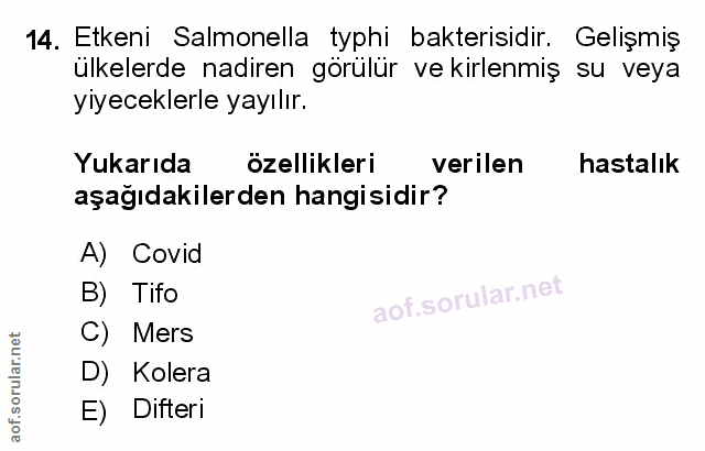 Soru 14
