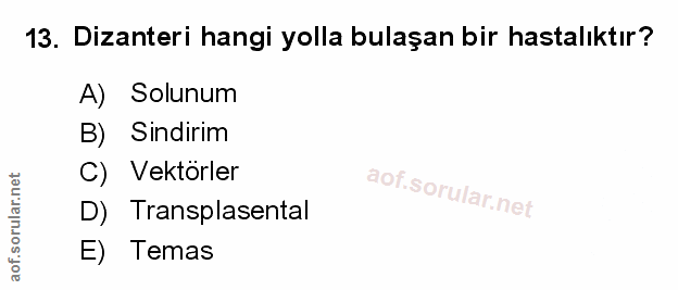 Soru 13