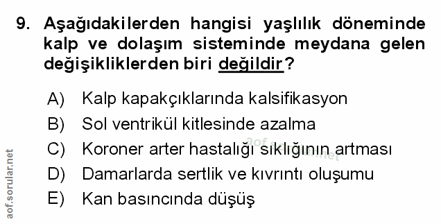 Soru 9