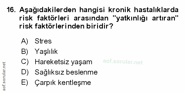 Soru 16