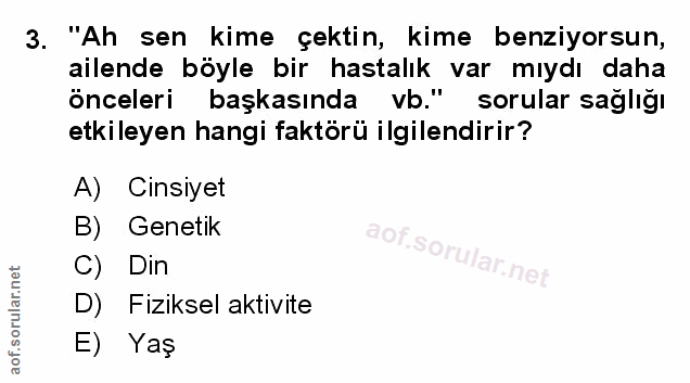 Soru 3