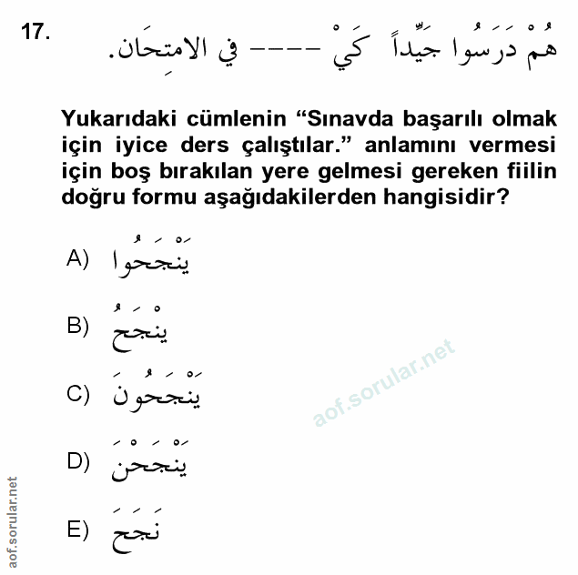 Soru 17