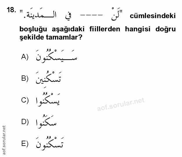 Soru 18