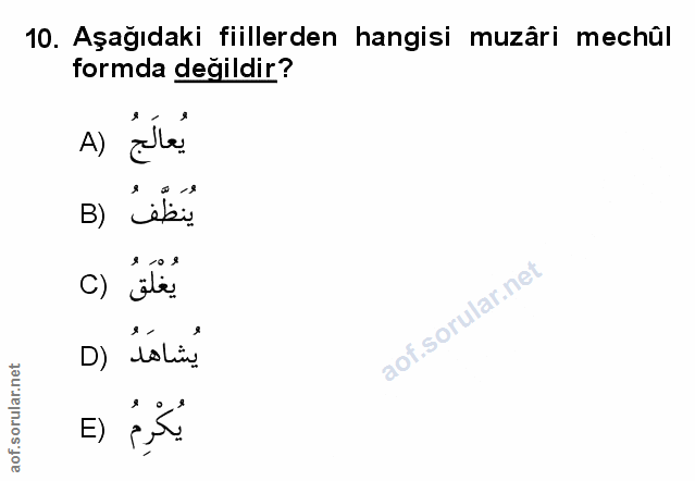 Soru 10