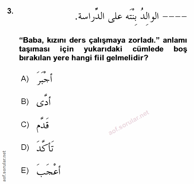 Soru 3