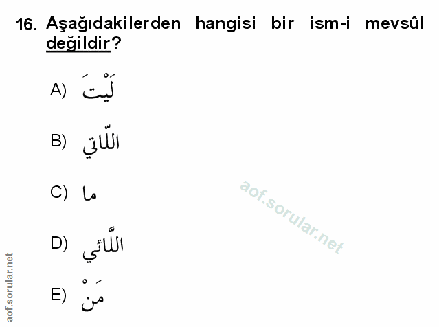 Soru 16