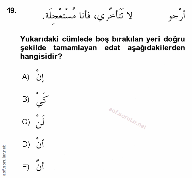 Soru 19