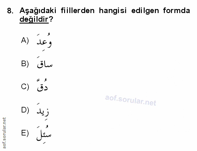 Soru 8