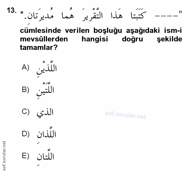 Soru 13