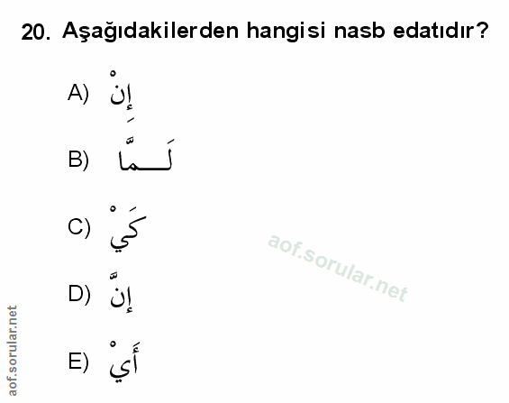 Soru 20