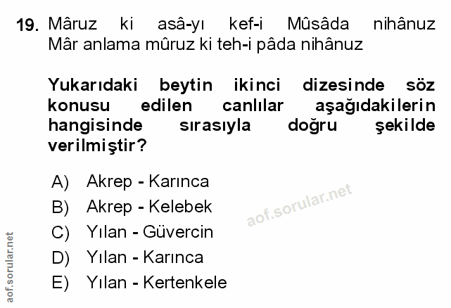 Soru 19