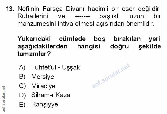 Soru 13