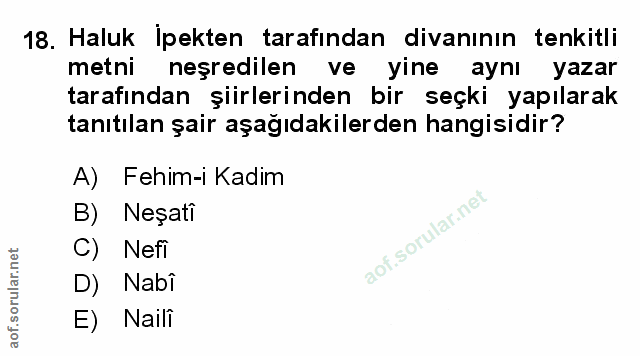 Soru 18