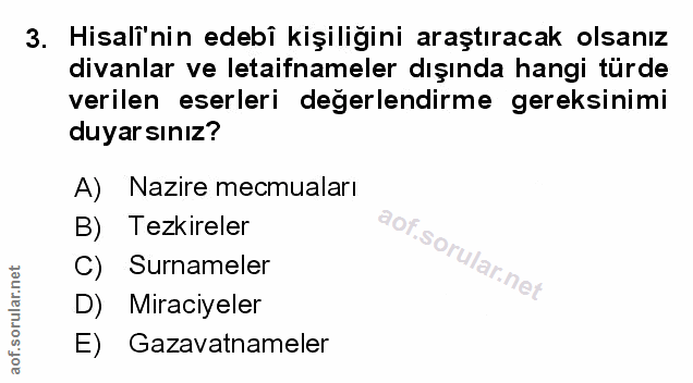 Soru 3