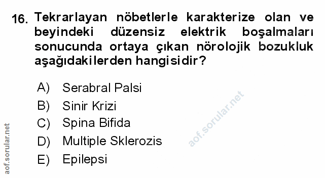 Soru 16