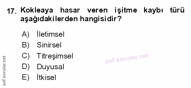 Soru 17