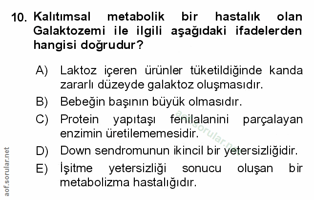 Soru 10