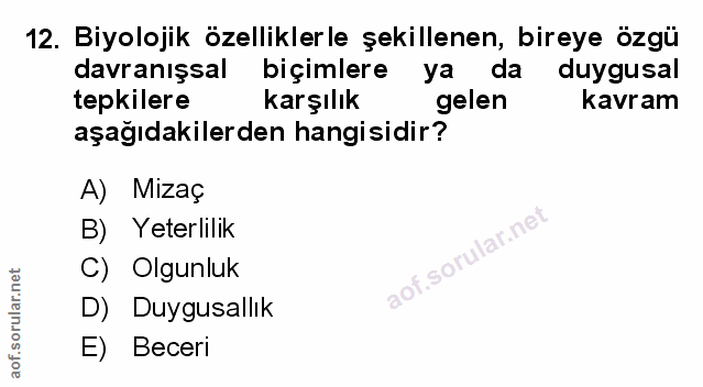 Soru 12