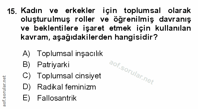 Soru 15