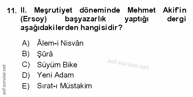 Soru 11