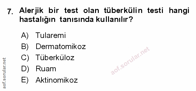 Soru 7