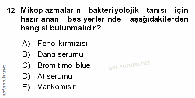 Soru 12