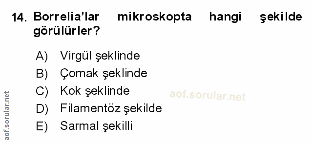 Soru 14