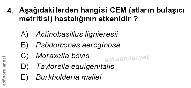 Soru 4