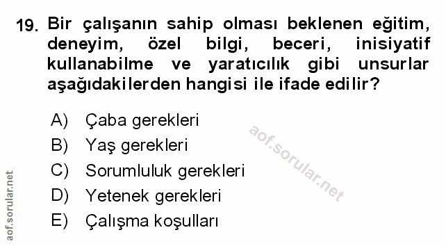 Soru 19