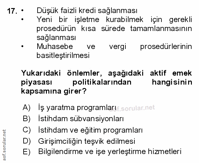 Soru 17