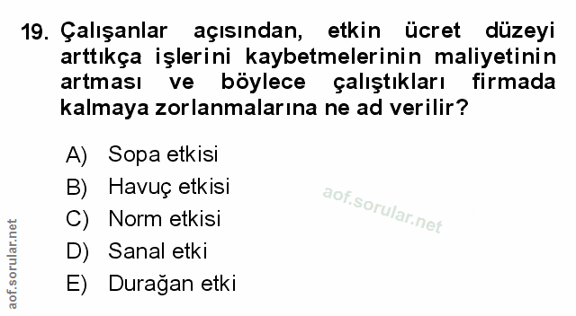 Soru 19