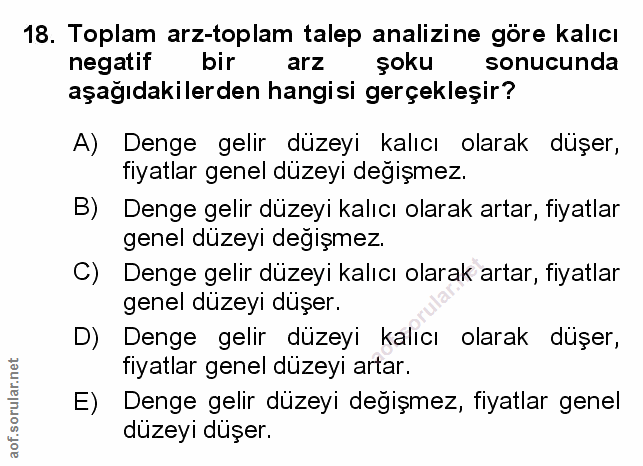 Soru 18
