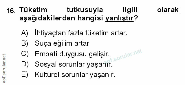 Soru 16
