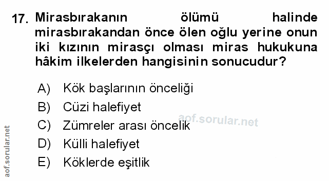 Soru 17